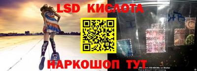 jwh Сланцы