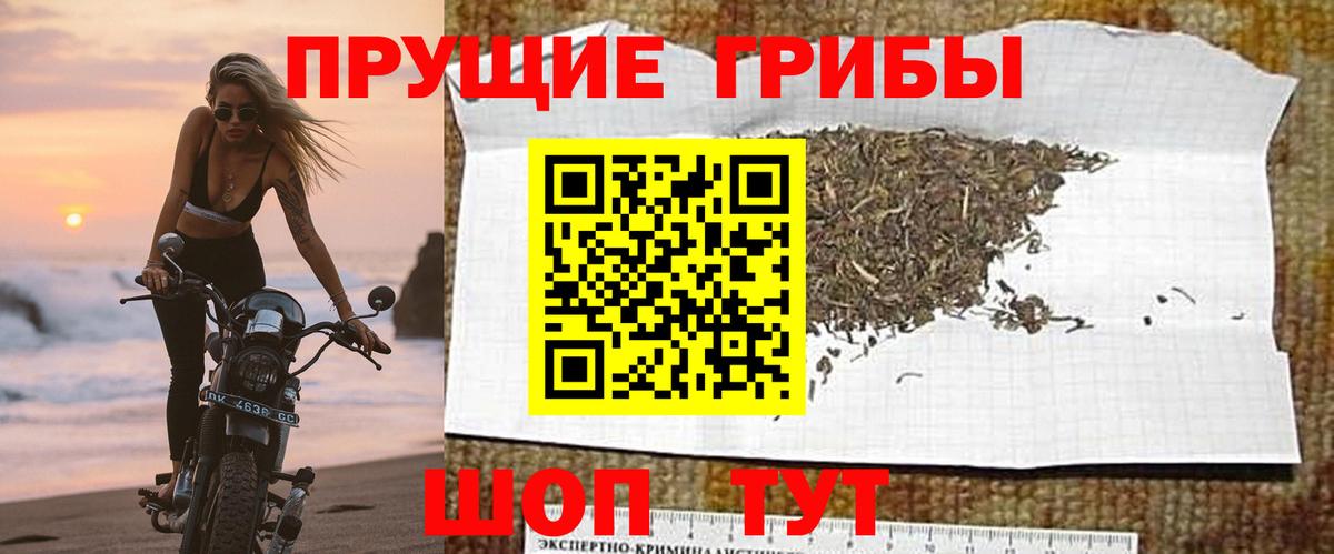 Псилоцибиновые грибы ЛСД  Галлюциногенные грибы мицелий  Вход с VPN  Ростов-на-Дону 